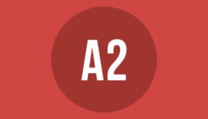 A2 paper format size and dimensions in mm cm and inches