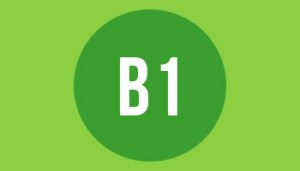 B1 paper format size and dimensions in mm cm and inches