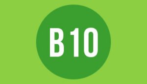 B10 paper format size and dimensions in mm cm and inches