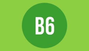 B6 paper format size and dimensions in mm cm and inches
