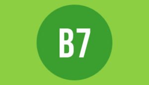 B7 paper format size and dimensions in mm cm and inches