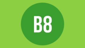 B8 paper format size and dimensions in mm cm and inches