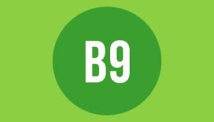 B9 paper format size and dimensions in mm cm and inches
