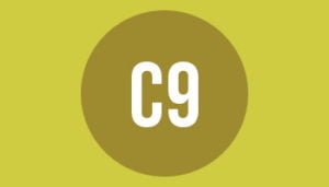 C9 paper format size and dimensions in mm cm and inches