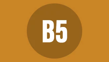 Koperta B5
